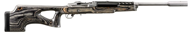 mini 14 target mini 14 target
