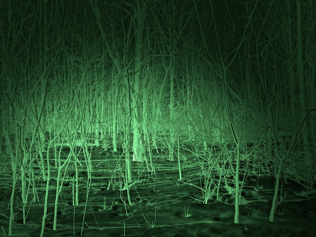 night-vision-scene night vision scene