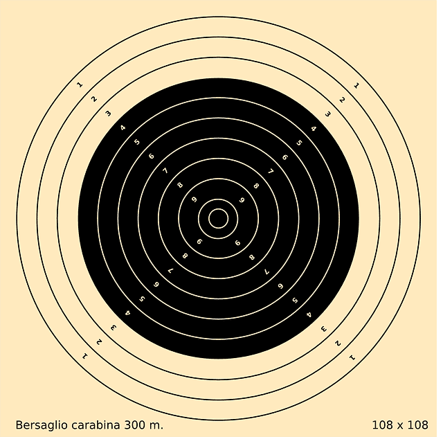 rifle target shooting rifle target shooting