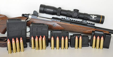 Ruger450BushmasterScout2