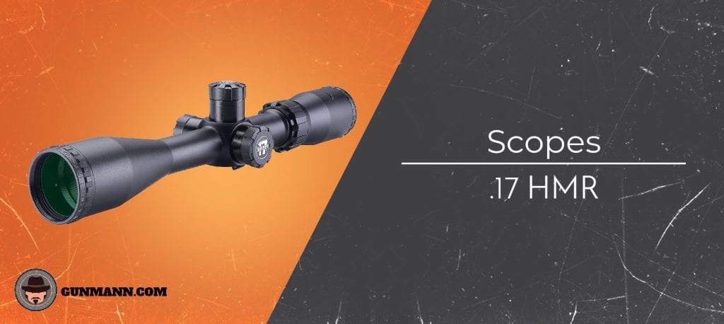 17 hmr scope