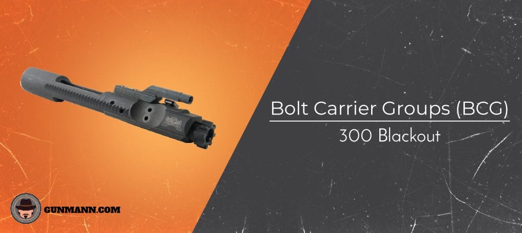 Best .300 Blackout Bolt Carrier Groups (BCG) – 2022 Review - Gun Mann